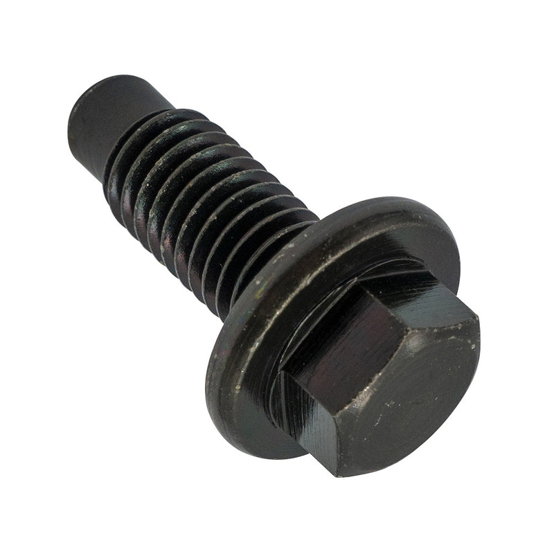 Champion Drain Plugs – M12 x 1.75mm - 5pk