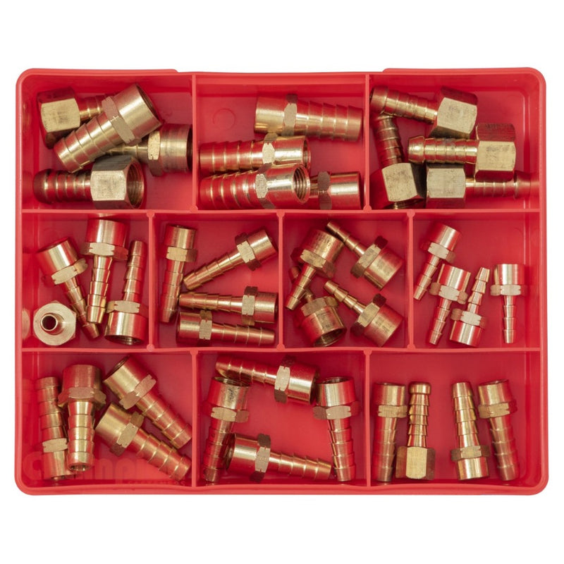 Champion 40pc Female Brass Hose Tail Assortment