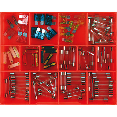 Champion 100pc Auto Fuse Assortment (Glass, Blade & Euro) Default Title