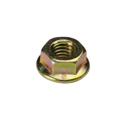 Champion Hex Flange Nut M6 x 1mm - 50pk Default Title