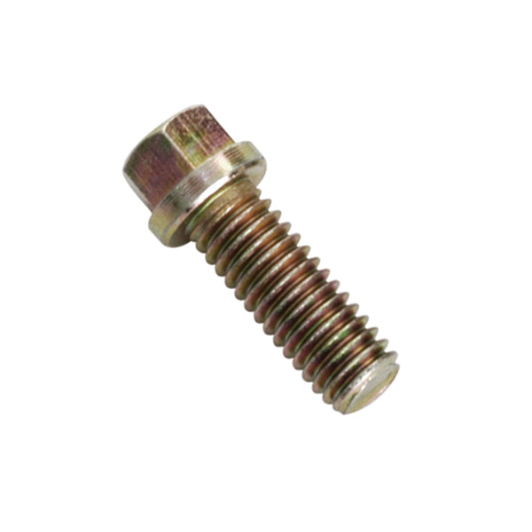 Champion 3/8in x 1in UNC Header (Manifold) Bolt - 100pk Default Title